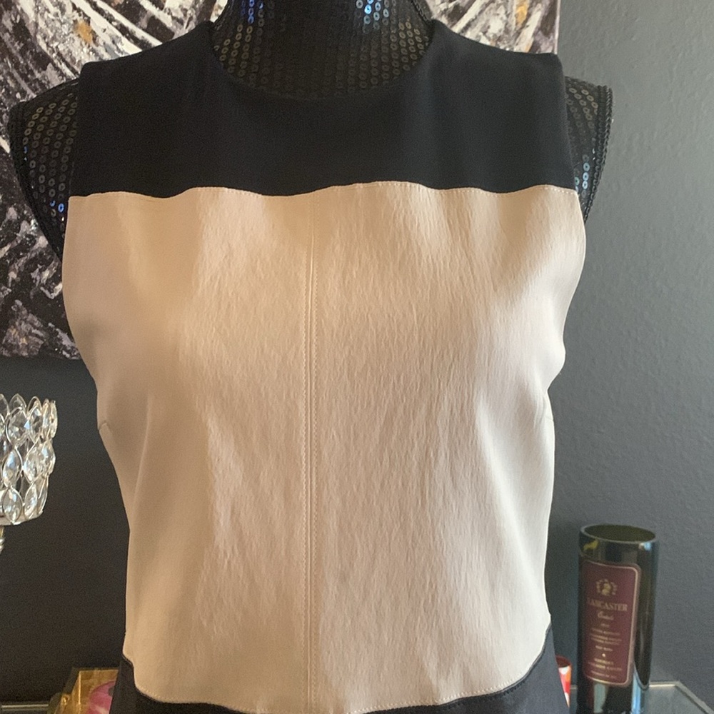 A.L.C. Curil Colorblock Lambskin Leather Panel Sheath Dress - Picture 5 of 8
